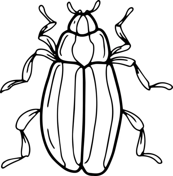 Escarabajos Insectos Gran Conjunto Por Separado Libro Para Colorear Fondo — Vector de stock