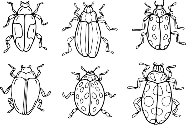 子供のための白い背景のぬり絵に個別に設定された大きな虫が描かれた落書きの手をスケッチ — ストックベクタ