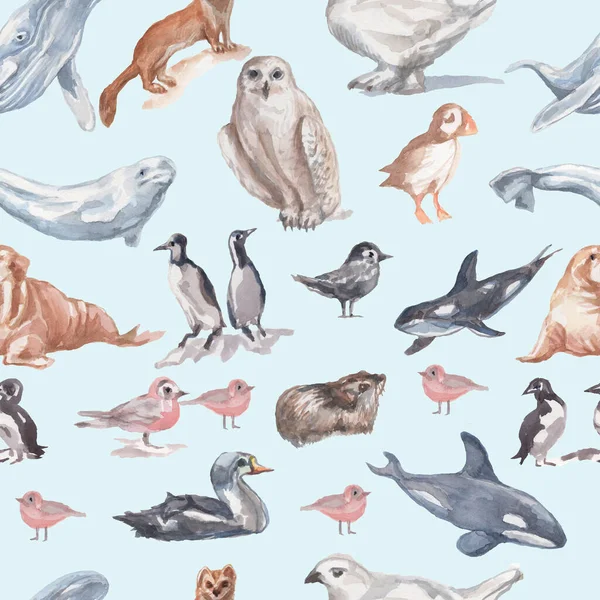 Hayvanlar Antarktika Kuşları Balinalar Balık Suluboya Çizim Arka Planda Izole — Stok fotoğraf