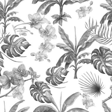 Tropik canavar orkidesi, palmiye çiçeklerini babasız bırakır. 