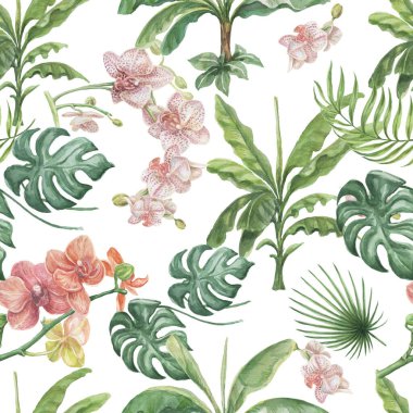 Tropik canavar orkidesi, palmiye çiçeklerini babasız bırakır. 