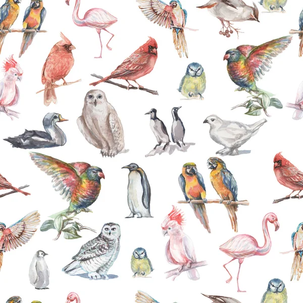 Birds watercolor illustration hand drawn seamless pattern background animals nature clipart different birds owl parrot