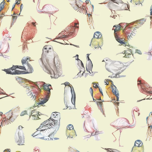 Kuşların Suluboya Çizimleri Kusursuz Desenli Arka Plan Hayvanları Doğa Farklı — Stok fotoğraf
