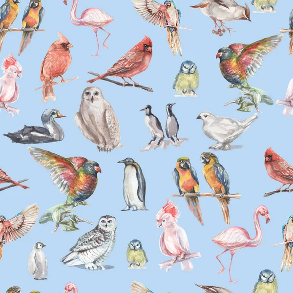 Birds watercolor illustration hand drawn seamless pattern background animals nature clipart different birds owl parrot