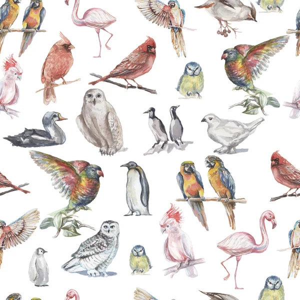 Ptáci Akvarel Ilustrace Ručně Kreslené Bezešvé Vzor Pozadí Zvířata Příroda — Stock fotografie