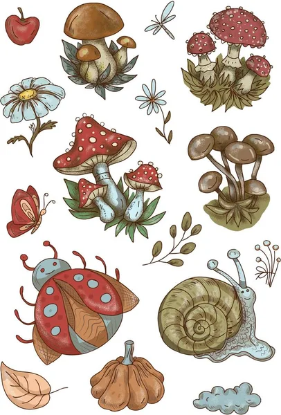 Mushroom Stickers Insects Snail Forest Hand Drawn Set Separate Elements — стоковый вектор