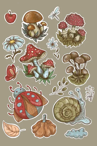 Mushroom Stickers Insects Snail Forest Hand Drawn Set Separate Elements — стоковый вектор