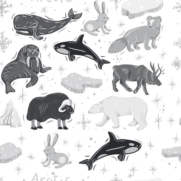 arctic animals nature wild world cold north cute cartoon ice snowflake polar bear muskox sperm whale scribe hand drawn