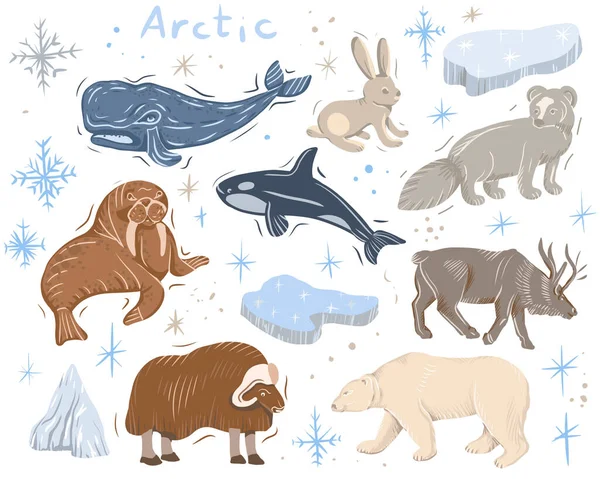 Animali Artici Natura Selvaggio Mondo Freddo Nord Carino Cartone Animato — Foto Stock