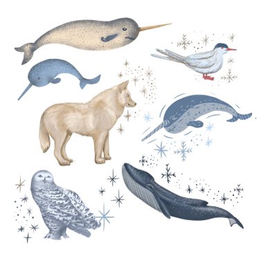 Kutup hayvanları vahşi dünya soğuk kuzey çizgi film karakteri kar tanesi kutup ayısı miskox sperm balinası el çizimi