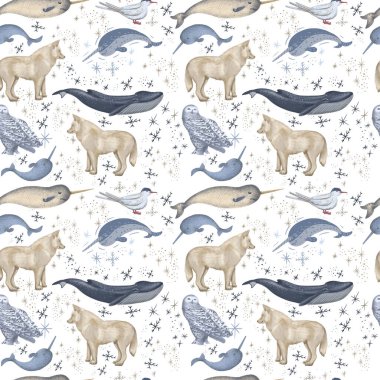 Kutup hayvanları vahşi dünya soğuk kuzey çizgi film karakteri kar tanesi kutup ayısı miskox sperm balinası el çizimi