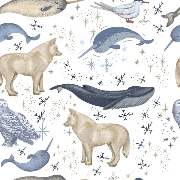 arctic animals nature wild world cold north cute cartoon ice snowflake polar bear muskox sperm whale scribe hand drawn