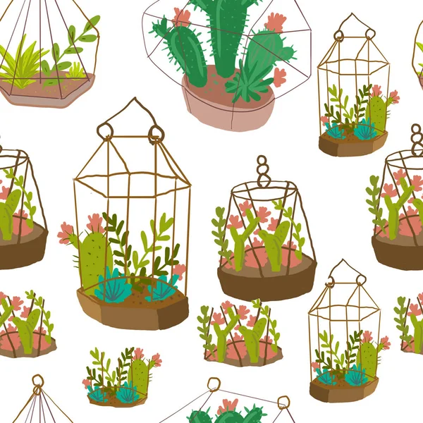 Kaktusové Rostliny Květináč Závěsný Hrnec Pod Sklem Mini Zahrada Ručně — Stock fotografie