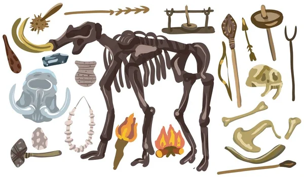 Mamut Csontváz Ősi Állatok Primitív Ősi Világ Múzeum Vadászati Eszközök — Stock Fotó