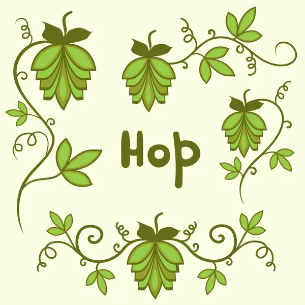 Stylized hops set — Stock Vector