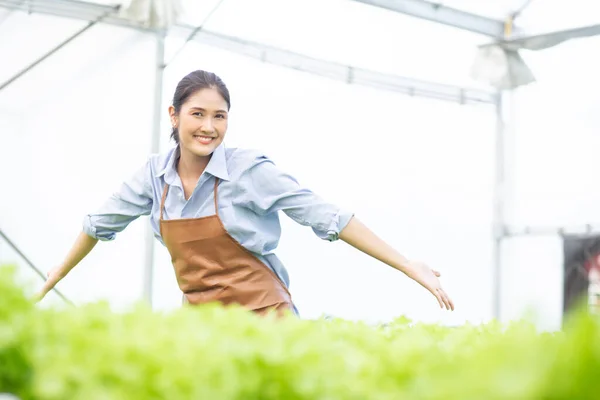 Jovem Mulher Asiática Trabalhando Sistema Hidropônico Hortaliças Fazenda Alface Orgânica — Fotografia de Stock