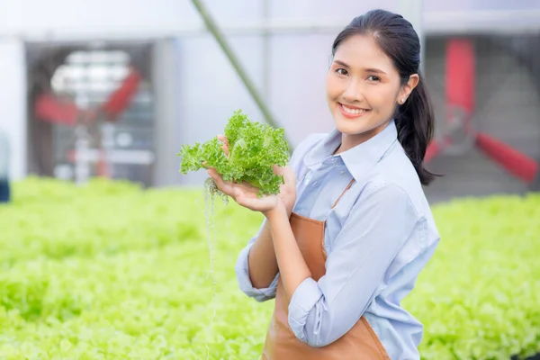Νεαρή Ασιάτισσα Που Εργάζεται Στο Υδροπονικό Σύστημα Λαχανικά Βιολογικό Μαρούλι — Φωτογραφία Αρχείου