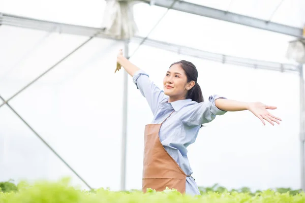 Ung Asiatisk Kvinna Som Arbetar Hydrokultur System Grönsaker Ekologisk Sallad — Stockfoto