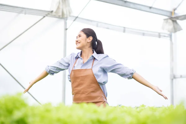 Ung Asiatisk Kvinna Som Arbetar Hydrokultur System Grönsaker Ekologisk Sallad — Stockfoto