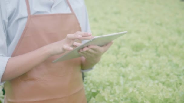 Hands Woman Using Tablet Control Inspect System Innovation Hydroponic Vegetable — Stock Video