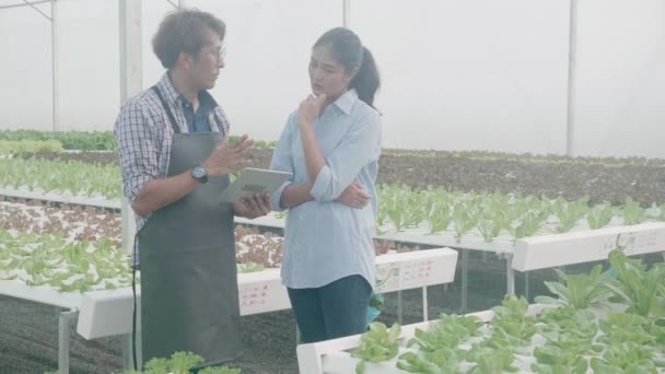 Mladý asijský muž stojící a držící tablet počítač mluví pro doporučení zeleniny se zákazníkem v hydroponickém systému bio salát farma, podnikatel muž služby žena se zemědělstvím.