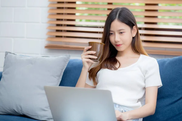 아시아인 사업가는 미소를 집에서 일하고 노트북 컴퓨터를 가지고 거실에 소파에서 — 스톡 사진