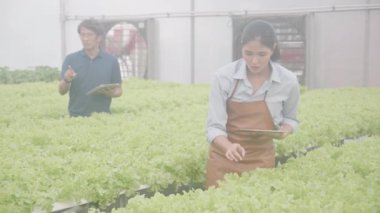 Genç Asyalı kadın ve erkek kontrol ve denetleme sistemi yenilikleri için tablet kullanıyorlar. Hidroponik sebze çiftliği, tarım ve seradaki besin gıdalarını inceleyen girişimci..