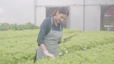 Genç Asyalı kadın kontrol ve denetleme sistemi yenilikleri için tablet kullanıyor. Hidroponik sebze çiftliği, tarım ve seradaki besin gıdalarını inceleyen girişimci, bir kişi..