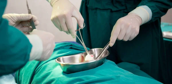 Closeup hands of team doctor and surgeon doing surgery with patient in the operation at hospital, medical and emergency, specialist and assistant rescue patient with expertise, surgical and health.