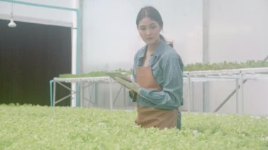 Genç Asyalı kadın kontrol ve denetleme sistemi yenilikleri için tablet kullanıyor. Hidroponik sebze çiftliği, tarım ve seradaki besin gıdalarını inceleyen girişimci, bir kişi..
