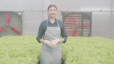 Hidrofonik sistemde yürüyen genç Asyalı kadın sebzeler organik marul çiftliği, dişi tarım için serada hasat, çiftlikte tarım arazilerini inceleyen girişimci, tarım kavramı.