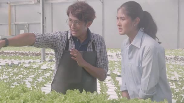 Giovane Uomo Asiatico Raccolta Raccomandare Verdure Con Cliente Nel Sistema — Video Stock