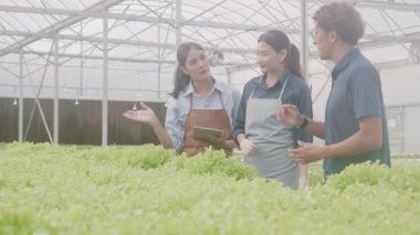 Tablet bilgisayarı tutan ve konuşmak için sebze toplayan Asyalı genç bir kadın hidroponik sistemli organik marul çiftliğine, tarım sektöründe çalışan girişimci kadın servis elemanına tavsiye ediyor..