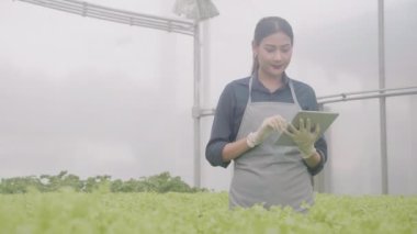 Genç Asyalı kadın kontrol ve denetleme sistemi yenilikleri için tablet kullanıyor. Hidroponik sebze çiftliği, tarım ve seradaki besin gıdalarını inceleyen girişimci, bir kişi..
