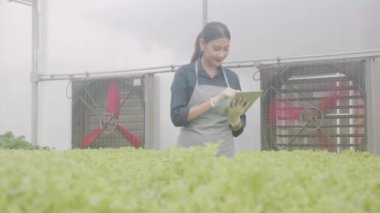 Genç Asyalı kadın yürüyor ve tablet kullanıyor kontrol ve denetleme sistemi yeniliği için hidroponik sebze çiftliği, tarım yapan girişimci ve seradaki besin gıdalarını inceliyor.