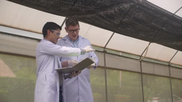 两名科学家在化学和膝上型计算机工厂研究农场的农业 研究人员在园艺中测试植物学和生物与科学收获 — 图库视频影像