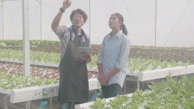 Asyalı genç adam ayakta ve elinde tablet bilgisayarla hidroponik sistem organik marul tarlasında müşteriyle sebze yemeyi öneriyor. Tarım hizmetlerinde çalışan girişimci kadın..