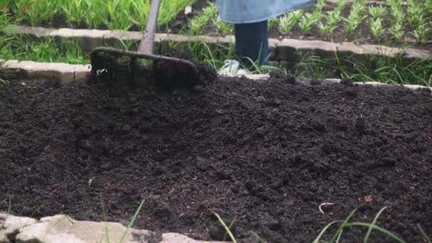 Detailní Děti Dívka Pomocí Lopaty Kopat Půdu Pro Rostliny Zahradě — Stock video