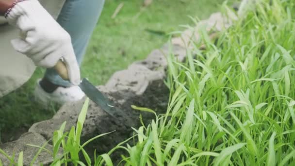 삽으로 정원에 식물을 기르는 아이들의 뒷마당 계절에 농사를 농사를 수확하고 — 비디오