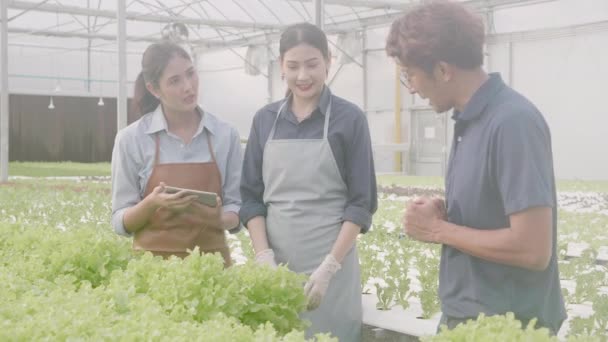 Jovem Mulher Asiática Segurando Tablet Computador Pegando Legumes Para Falar — Vídeo de Stock