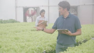 Genç Asyalı kadın ve erkek kontrol ve denetleme sistemi yenilikleri için tablet kullanıyorlar. Hidroponik sebze çiftliği, tarım ve seradaki besin gıdalarını inceleyen girişimci..
