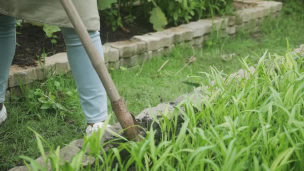 孩子们在花园里用铲子挖土植树 孩子们在后院 春天和季节用铁锹或耙耕地 孩子们积极耕作和收割 志愿者们积极参加 — 图库视频影像