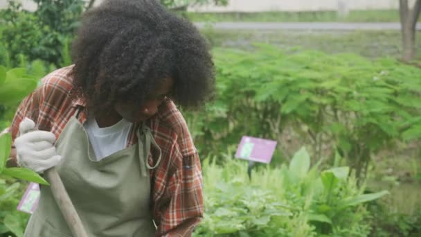 Děti Chlapec Pomocí Lopaty Kopat Půdu Pro Rostliny Zahradě Aktivní — Stock video