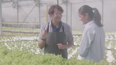Genç Asyalı erkek, hidroponik sistemdeki müşterilerle tokalaşıyor organik sebzeler, marul çiftliği, girişimci erkek servis kadını ve seradaki kaliteyi incelemek için tarım..