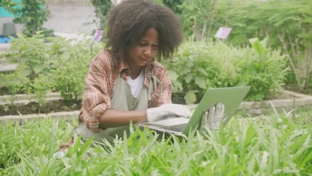 Gyermek Fiú Keres Növények Ellenőrzése Ellenőr Minőség Laptop Számítógép Kertben — Stock videók