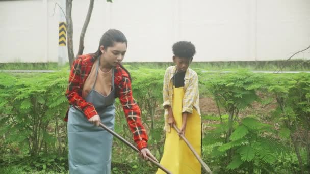 Dzieci Chłopiec Dziewczyna Pomocą Łopaty Wykopać Glebę Dla Roślin Ogrodzie — Wideo stockowe