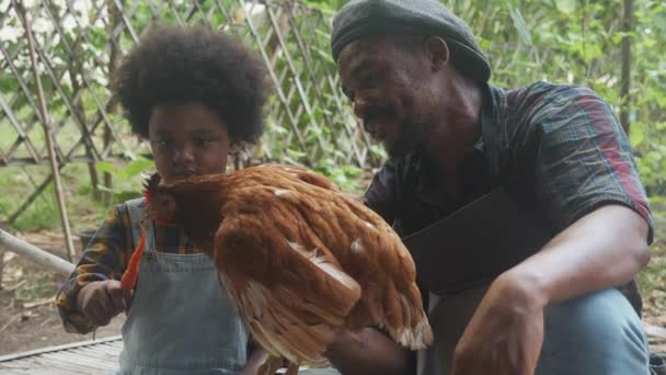 Familie Mit Vater Und Sohn Die Hühner Auf Dem Hof — Stockvideo