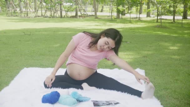 快乐的年轻亚洲女人怀孕了 她坐在公园里做运动 用伸展的手肌肉进行健康护理 妈妈在花园里练习瑜伽 为怀孕做运动 — 图库视频影像