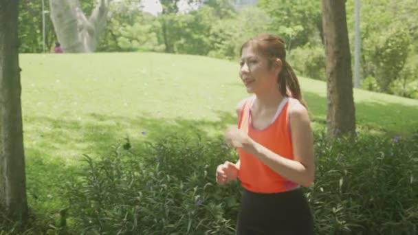 Bonita Jovem Asiático Treino Mulher Com Jogging Correr Verão Parque — Vídeo de Stock