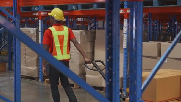 Young Man Pull Move Cargo Transportation Distribution Warehouse Factory Worker — Wideo stockowe